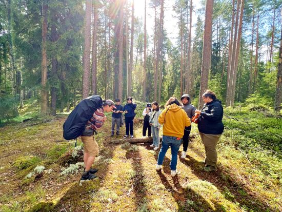 夏秋限定！きのこ狩り1日エコツアー　リエスヤルヴィ国立公園散策やフィンランド式ランチも満喫＜8～10月／英語ガイド／ヘルシンキ発＞