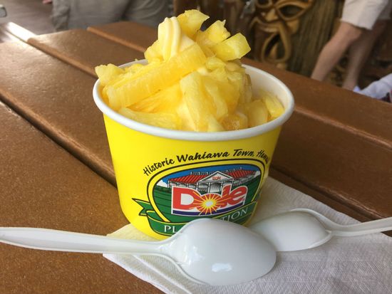 Dolewhip