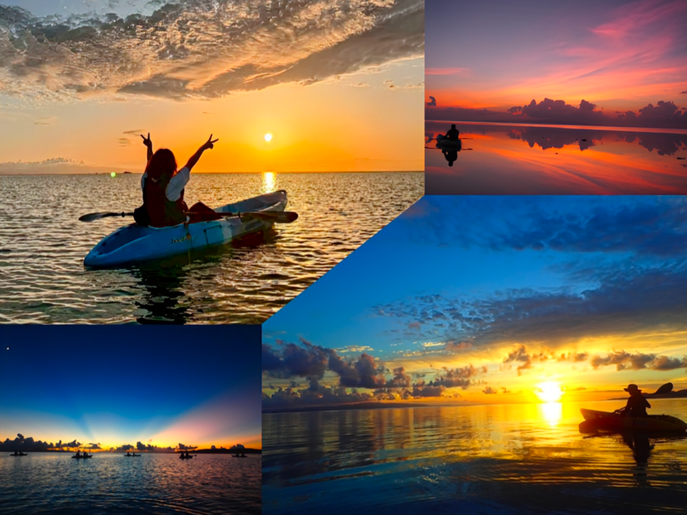 20250610020133_2061878790_1359