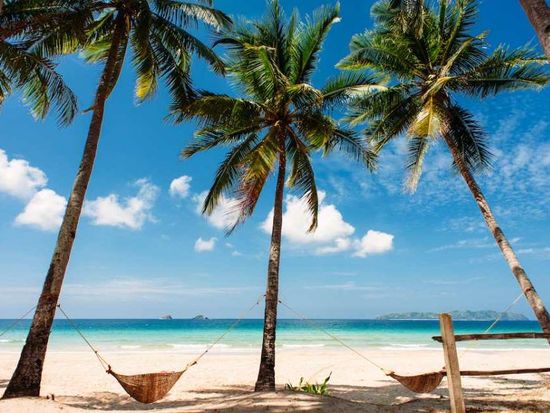 Private Charter Service Between El Nido and Nacpan Beach5