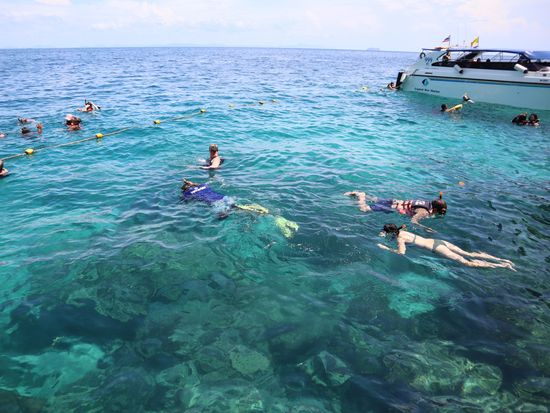 トンサイベイ沖にてスノーケリング (2)