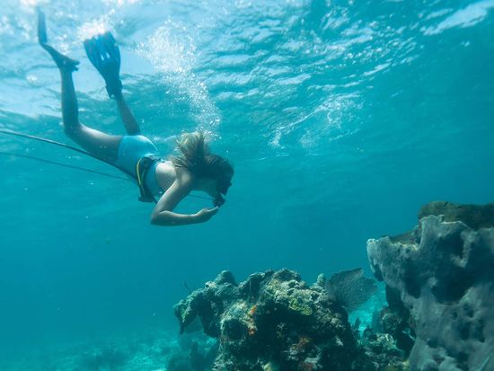 shutterstock_2107914878