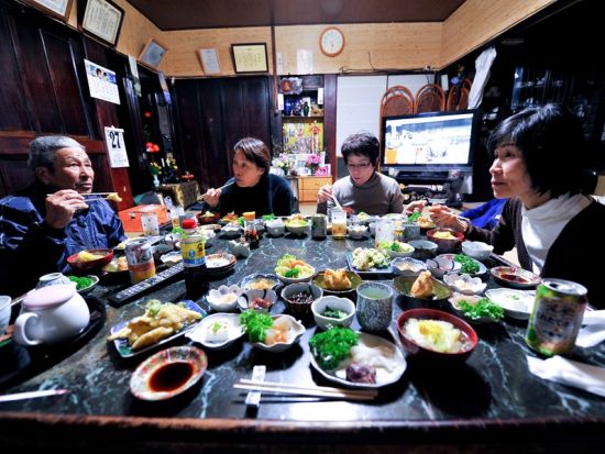ヤマネコ里山ウォッチングツアー 夜の対馬でツシマヤマネコを探そう！農泊体験付きプラン（1泊2日2食付）もあり（7～9月、指定日限定）＜対馬市上県町＞