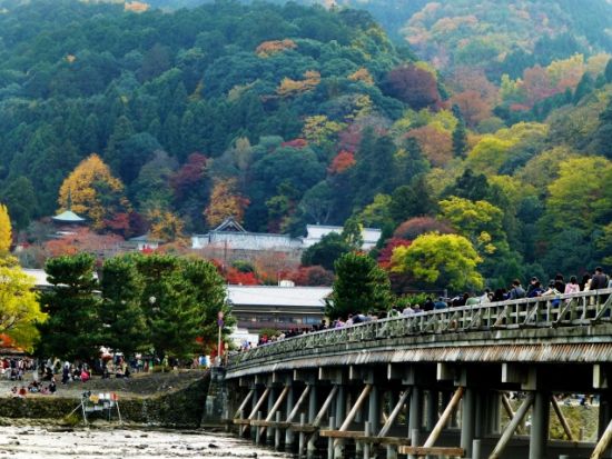 京都発日帰りツアー 京都＆奈良の名所巡り 嵐山＋奈良公園＋伏見稲荷大社＜京都駅発／日本語・中国語・英語＞
