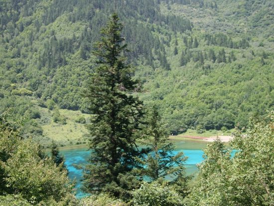 【成都発】九寨溝・黄龍 1泊2日観光ツアー＜日本語ガイド／宿泊・食事・入場券付／高速列車利用＞