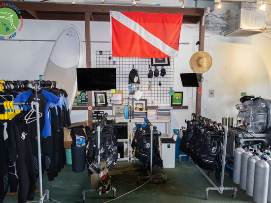 Green Dolphin Dive Shop (18)