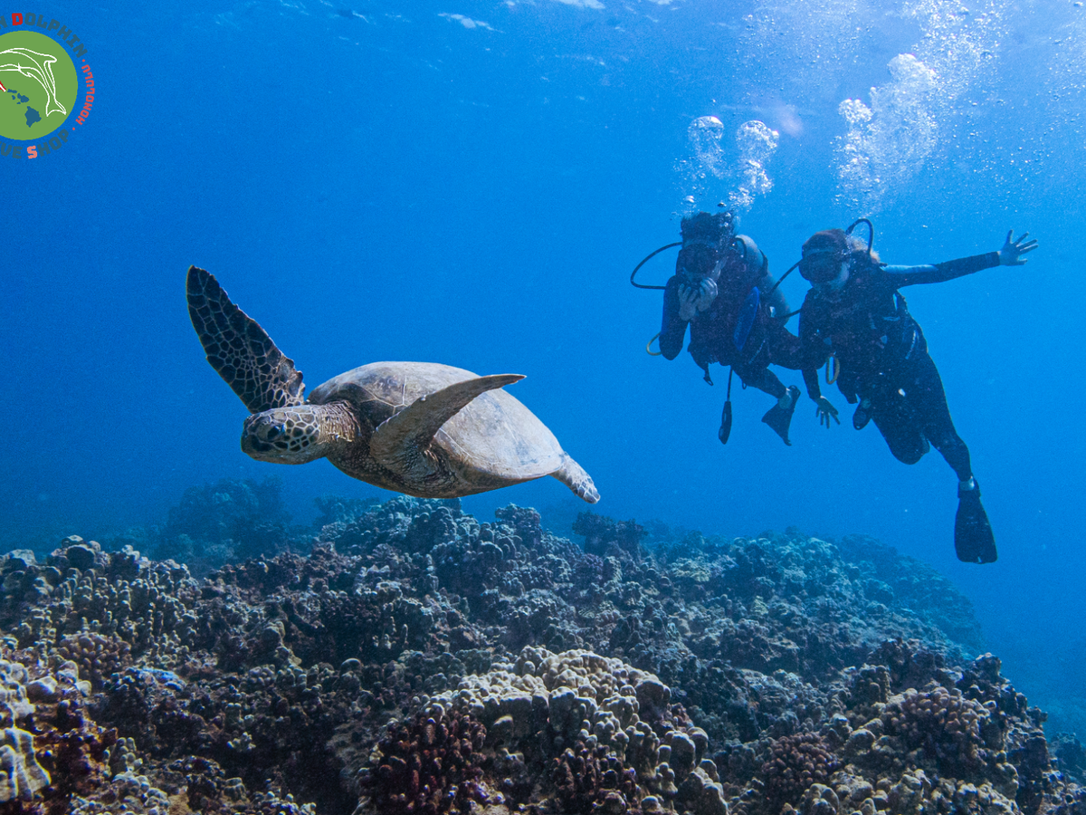 20250611053538_482591093_13327