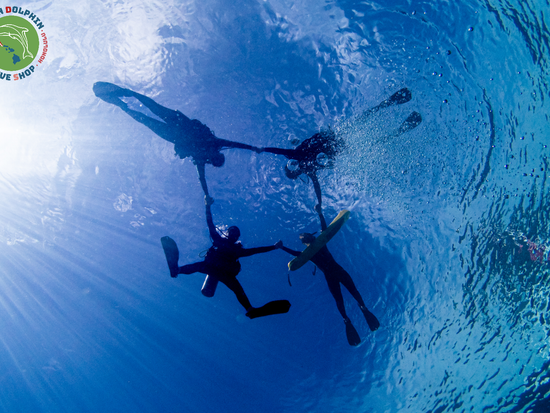 Green Dolphin Dive Shop (16)