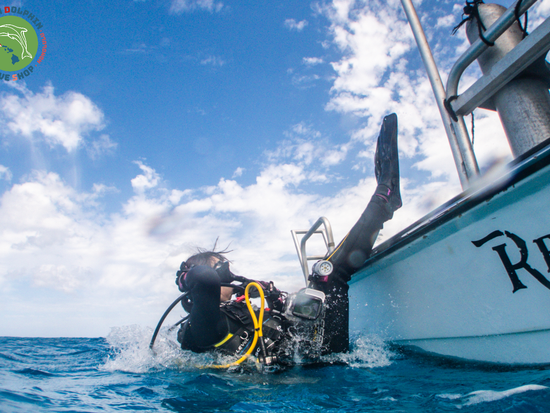 Green Dolphin Dive Shop (1)