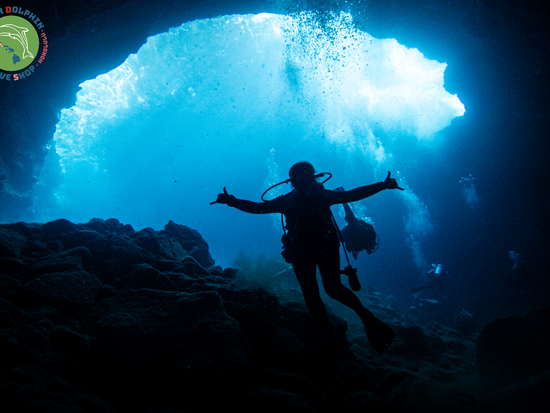 Green Dolphin Dive Shop (7)