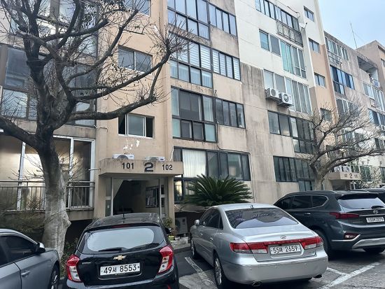 「おつかれさま」済州島ドラマロケ地巡り☆そばの花畑や海の道など青春と家族の物語の舞台へ ＜終日／日本語ガイド＞