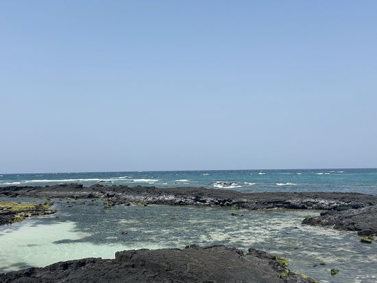 「おつかれさま」済州島ドラマロケ地巡り☆そばの花畑や海の道など青春と家族の物語の舞台へ ＜終日／日本語ガイド＞