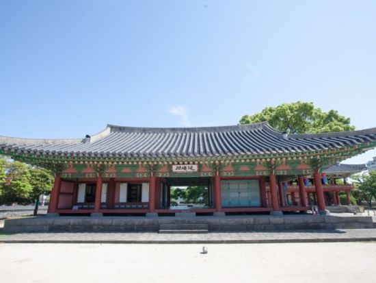 「おつかれさま」済州島ドラマロケ地巡り☆そばの花畑や海の道など青春と家族の物語の舞台へ ＜終日／日本語ガイド＞