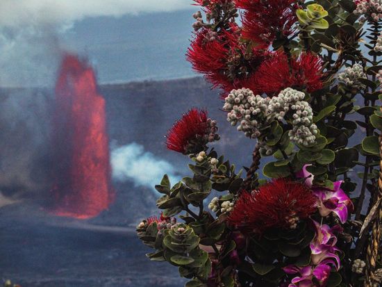 A80341EB-0A48-4F96-BC07-AF81AA0B31B1