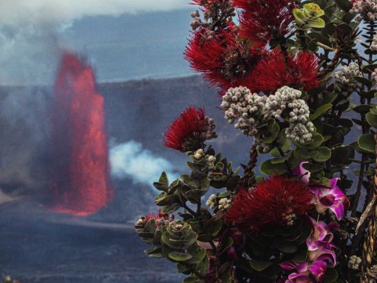 ハワイ島　ヒロ出発世界遺産キラウエア火山＋サンセット＋マウナケア山麗星空観測　貸切プランあり＜夕食お弁当付／日本語ガイド／ヒロ地区ホテル＞