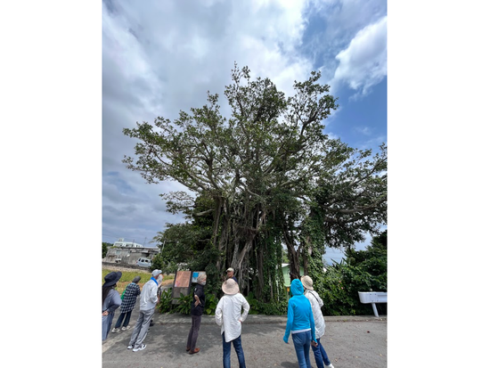 スクリーンショット 2025-06-13 082657