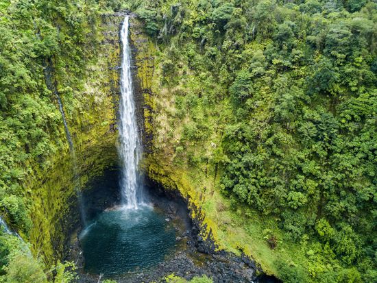 Akaka Falls shutterstock_1550899853