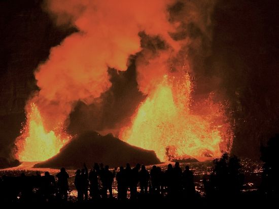 ハワイ島　貸切チャーター（2-11名） アレンジ自在のオーダーメイド旅　空港送迎も可能！＜4-10時間／日本語ガイド＞by HI Adventures