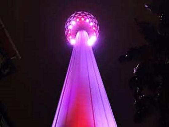 クアラルンプールの夜景観賞＆ディナープラン　KLタワー＋サロマブリッジ＋噴水ショー＜夕方／日本語ガイド＞