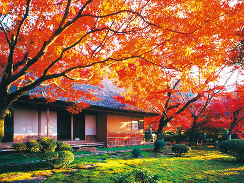 ダウンロード (1)