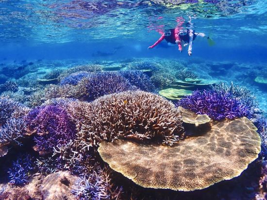 【宮古島】八重干瀬まで最短・池間島出航！ドローン撮影・写真データに自信あり！日本最大級のサンゴ礁で泳ぐヤビジ半日シュノーケル《少人数制》