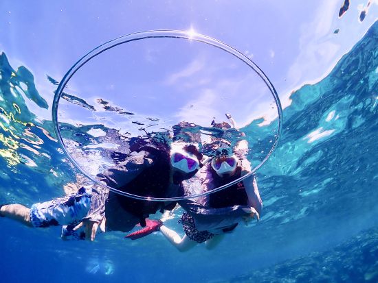 《少人数制》英語・中国語対応可能！水中写真無料プレゼント！初めての方も丁寧にレクチャーします★高遭遇率ウミガメビーチシュノーケルツアー