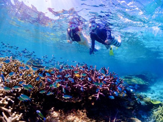 《少人数制》英語・中国語対応可能！水中写真無料プレゼント！初めての方も丁寧にレクチャーします★高遭遇率ウミガメビーチシュノーケルツアー