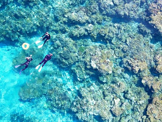 dji_fly_20250323_094514_17_1742692516548_photo