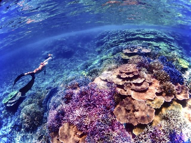 宮古島】八重干瀬まで最短・池間島出航！ドローン撮影・写真データに