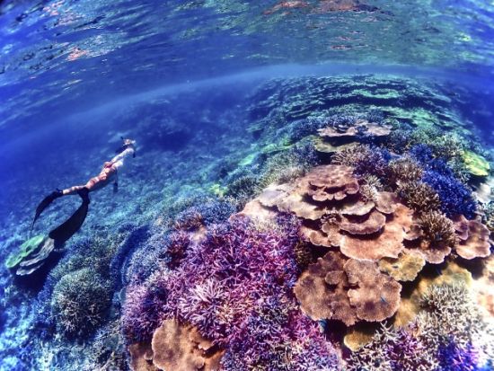 【宮古島】八重干瀬まで最短・池間島出航！ドローン撮影・写真データに自信あり！日本最大のサンゴ礁で泳ぐスキンダイビング半日ツアー《少人数制・要ライセンス》