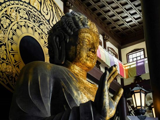 福井発半日バスツアー 初めましてふくい名所旅 福井県立恐竜博物館＋越前大仏 ＜午前コース／土・日・祝日／バスガイド付き＞byはぴバス