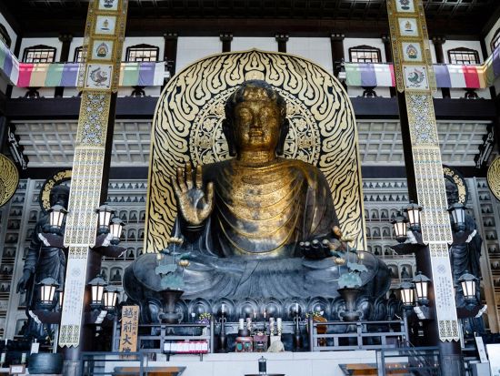 福井発半日バスツアー 初めましてふくい名所旅 福井県立恐竜博物館＋平泉寺白泉神社 or 越前大仏 ＜午前コース／土・日・祝日／バスガイド付き＞byはぴバス