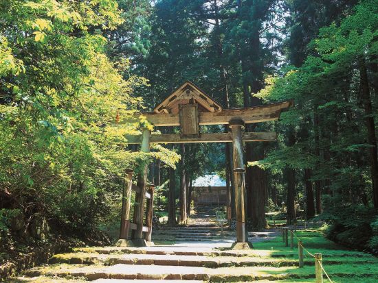 福井発半日バスツアー 初めましてふくい名所旅 福井県立恐竜博物館＋平泉寺白泉神社 or 越前大仏 ＜午前コース／土・日・祝日／バスガイド付き＞byはぴバス