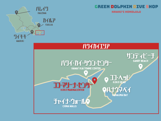 体験ダイビング ココヘッドが見える絶好のポイントで！＜ハワイカイ沖／ボート／2ダイブ＞by グリーン・ドルフィン・ダイブ・ショップ