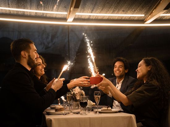 Compagnie des Bateaux Mouches -  (13)