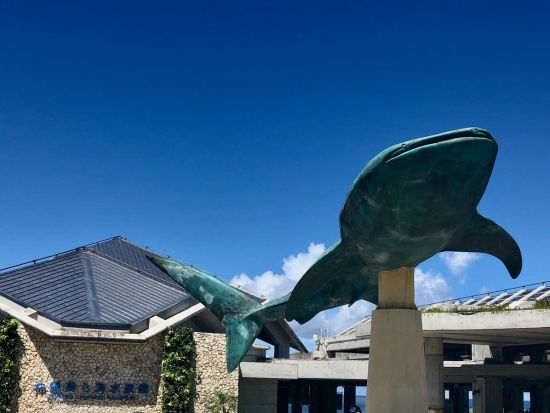 美ら海水族館入場チケット  ベルトラ沖縄ラウンジ受け取り 事前引き換えで楽々入館 ラウンジ来店特典（ドリンク、沖縄のお菓子他）付き！＜当日予約可／即予約確定＞