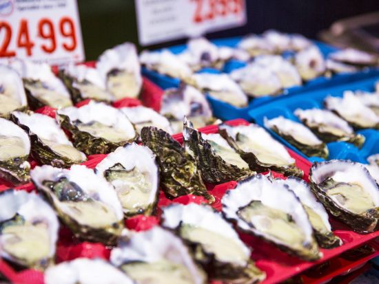 メルボルン市内観光＆ブライトンビーチボックス半日ツアー　世界遺産ロイヤルエキシビションビル＋マーケットなども訪問＜日本語ガイド＞by Mr John Tours