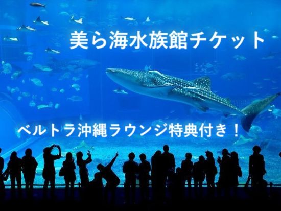 美ら海水族館入場チケット  ベルトラ沖縄ラウンジ受け取り 事前引き換えで楽々入館 ラウンジ来店特典（ドリンク、沖縄のお菓子他）付き！＜当日予約可／即予約確定＞