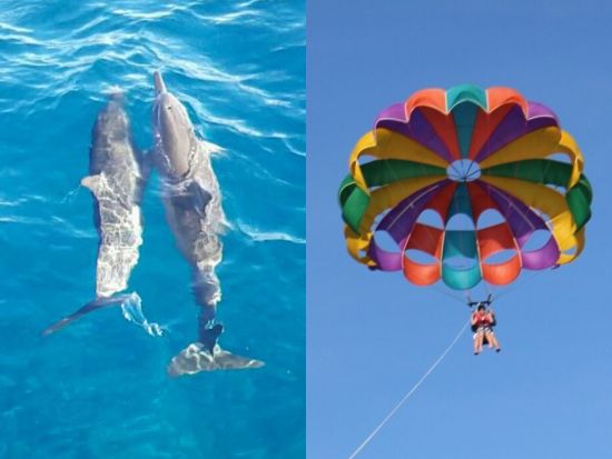 パラセーリング＋イルカウォッチング　大人気アクティビティ2種のセット＜送迎付き／英語インストラクター＞ by SUNNY SIDE UP