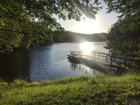 Lokkibus_Lake View 2