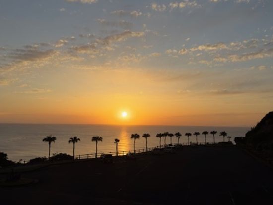 【名瀬市街エリア送迎可能】金作原散策とディープナイトツアー エコツアー認定ガイド中岡さんがご案内 神秘の奄美に触れる旅＜8〜9時間＞by 遊名人倶楽部