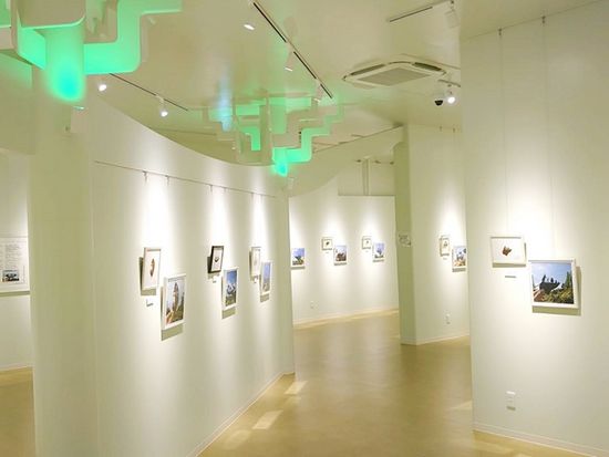 ダウンロード (2)