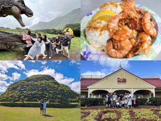 オアフ島1日観光　クアロア・ランチでのアクティビティ＋ハレイワタウン＋この木なんの木＋ドールプランテー ション　ランチはジョバンニへ立ち寄り！＜日本語ガイド＞