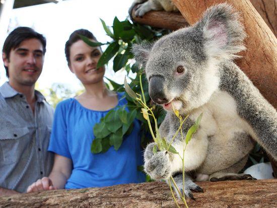 taronga_zoo_gallery_11