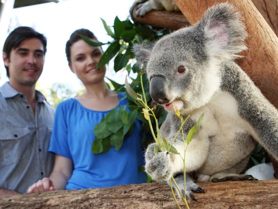 シドニー　Go City エクスプローラーパス　2～7つのアトラクションをお得に体験