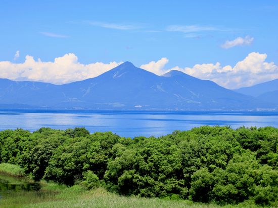 pixta_77961599_M