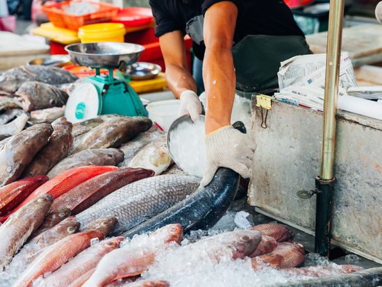 Generic_Fish market_pixta_24332268_M