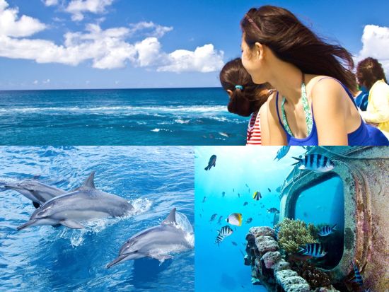 イルカウォッチングクルーズ　海の世界がのぞける海中展望塔&ランチ付きプランあり！＜英語ガイド／送迎付き＞ by フィッシュアイマリンパーク