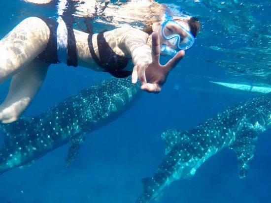 早朝出発！ジンベイザメシュノーケリング＆マイナスイオンのツマログ滝ツアー／当日写真データ送付＜映える限定リゾート入場可／日本語ガイド／送迎有＞