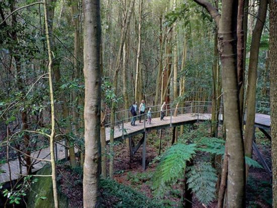 シーニックワールド パス事前購入　スカイウェイ＋レールウェイ＋ケーブルウェイ＋ボードウォークで世界遺産ブルーマウンテンズの絶景を満喫！＜シドニー＞